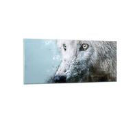 Impression sur Verre 120x50cm Tableaux Image Photo Blanc Le Loup Image