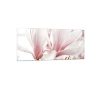 Impression sur Verre 120x50cm Tableaux Image Photo Brindille Magnolia Fleur
