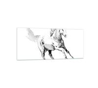 Impression sur Verre 120x50cm Tableaux Image Photo Cheval Galop Des Animaux