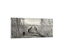 Impression sur Verre 120x50cm Tableaux Image Photo Pont Jetée Sépia Decoration