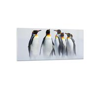 Impression sur Verre 120x50cm Tableaux Image Pingouins Hiver Neige Promenade