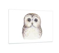 Impression sur Verre 120x80cm Tableaux Chouette Chouette Hulotte Graphiques