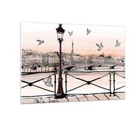 Impression sur Verre 120x80cm Tableaux France pigeon graphiques illustration
