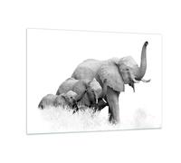 Impression sur Verre 120x80cm Tableaux Image Éléphants Famille Noir Et Blanc