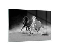 Impression sur Verre 120x80cm Tableaux Image Photo Andalouse Chevaux Galop