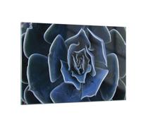 Impression sur Verre 120x80cm Tableaux Image Photo Bleu Cactus Fleur Decoration