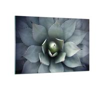 Impression sur Verre 120x80cm Tableaux Image Photo Bleu Feuilles Agave