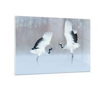 Impression sur Verre 120x80cm Tableaux Image Photo Grues Lutte Danse Decoration