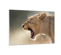 Impression sur Verre 120x80cm Tableaux Image Photo Lion Lionne Crocs Decoration
