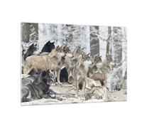 Impression sur Verre 120x80cm Tableaux Image Photo Meute Loups Hiver Decoration