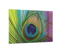 Impression sur Verre 120x80cm Tableaux Image Photo Paons Plume Arc En Ciel
