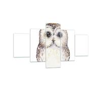 Impression sur Verre 125x70cm Tableaux Chouette Chouette Hulotte Graphiques