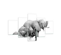 Impression sur Verre 125x70cm Tableaux Image Éléphants Famille Noir Et Blanc