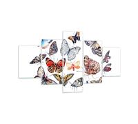 Impression sur Verre 125x70cm Tableaux Image Papillons illustration ailes