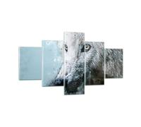 Impression sur Verre 125x70cm Tableaux Image Photo Blanc Le Loup Image