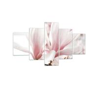 Impression sur Verre 125x70cm Tableaux Image Photo Brindille Magnolia Fleur