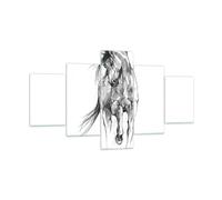 Impression sur Verre 125x70cm Tableaux Image Photo Cheval Galop Des Animaux