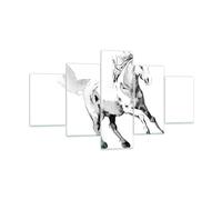 Impression sur Verre 125x70cm Tableaux Image Photo Cheval Galop Des Animaux