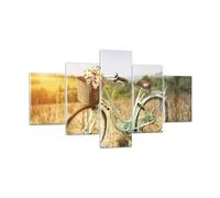 Impression sur Verre 125x70cm Tableaux Image Photo Vélo Prairies Fleurs
