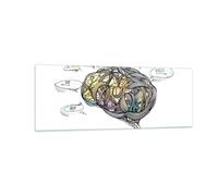 Impression sur Verre 140x50cm Tableaux Cerveau éducation expérience Illustration