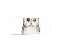 Impression sur Verre 140x50cm Tableaux Chouette Chouette Hulotte Graphiques