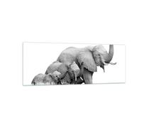 Impression sur Verre 140x50cm Tableaux Image Éléphants Famille Noir Et Blanc