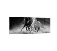 Impression sur Verre 140x50cm Tableaux Image Photo Andalouse Chevaux Galop