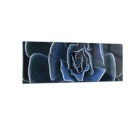 Impression sur Verre 140x50cm Tableaux Image Photo Bleu Cactus Fleur Decoration