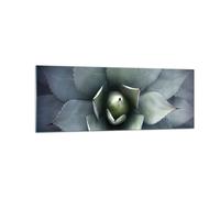 Impression sur Verre 140x50cm Tableaux Image Photo Bleu Feuilles Agave