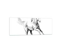 Impression sur Verre 140x50cm Tableaux Image Photo Cheval Galop Des Animaux