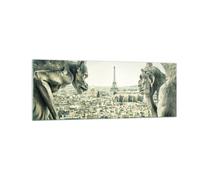 Impression sur Verre 140x50cm Tableaux Image Photo Gargouilles Paris Notre-Dame