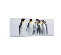 Impression sur Verre 140x50cm Tableaux Image Pingouins Hiver Neige Promenade