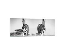 Impression sur Verre 140x50cm Tableaux Image Zèbres Photographie Noir Et Blanc