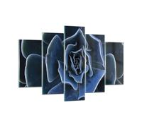 Impression sur Verre 150x100cm Tableaux Image Photo Bleu Cactus Fleur Decoration
