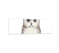 Impression sur Verre 160x50cm Tableaux Chouette Chouette Hulotte Graphiques