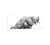 Impression sur Verre 160x50cm Tableaux Image Éléphants Famille Noir Et Blanc