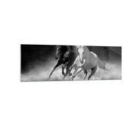 Impression sur Verre 160x50cm Tableaux Image Photo Andalouse Chevaux Galop