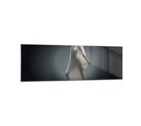Impression sur Verre 160x50cm Tableaux Image Photo Artistique Femme Lutte
