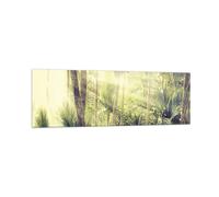Impression sur Verre 160x50cm Tableaux Image Photo Aube Jungle Palmiers