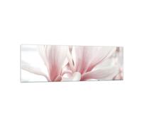 Impression sur Verre 160x50cm Tableaux Image Photo Brindille Magnolia Fleur