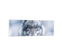 Impression sur Verre 160x50cm Tableaux Image Photo Loup Prédateur Wildness