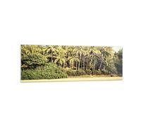 Impression sur Verre 160x50cm Tableaux Image Photo Nature Plage Palmiers