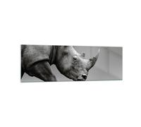 Impression sur Verre 160x50cm Tableaux Image Rhinocéros Monochrome Des Animaux