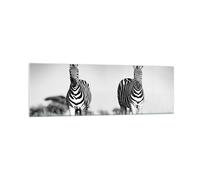 Impression sur Verre 160x50cm Tableaux Image Zèbres Photographie Noir Et Blanc