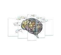 Impression sur Verre 160x85cm Tableaux Cerveau éducation expérience Illustration
