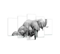 Impression sur Verre 160x85cm Tableaux Image Éléphants Famille Noir Et Blanc