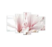 Impression sur Verre 160x85cm Tableaux Image Photo Brindille Magnolia Fleur