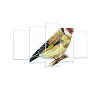 Impression sur Verre 160x85cm Tableaux Image Photo Chardonneret Oiseau Aquarelle