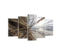 Impression sur Verre 160x85cm Tableaux Image Photo Côte Perspective Herbe