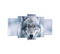 Impression sur Verre 160x85cm Tableaux Image Photo Loup Prédateur Wildness
